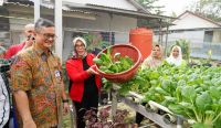 Penjabat Wali Kota Pangkalpinang Panen Bersama Sayuran Hidroponik 8 IMG 20240204 WA0002