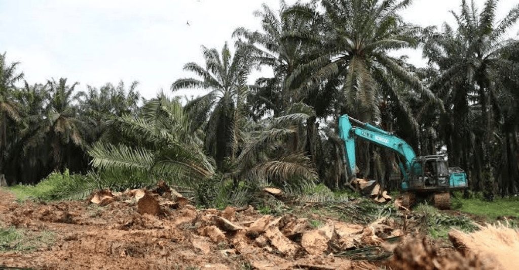 Gapoktan Sumber Barokah Desa Bedengung Bantah Dugaan Korupsi dalam Program PSR 2 1000102856