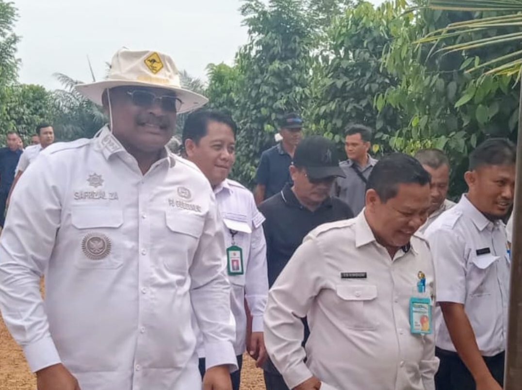 Pj Gubernur Babel Hadiri Panen Raya Lada di Bangka Selatan 2 1000170790