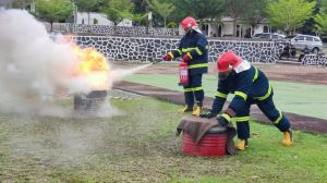 Sumber foto: timah.com.