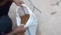 Petani Rias Toboali Protes Bibit Padi Inpari 32 Bantuan Pemprov Babel 9 IMG 20250511 121412
