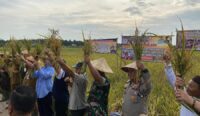 Pemkab Basel Tegaskan Komitmen Swasembada Pangan 6 Kredit foto: Pemkab Bangka Selatan.