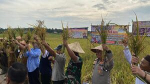 Kredit foto: Pemkab Bangka Selatan.