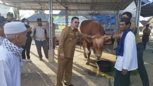 sapi